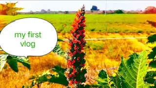 🥰My first blog❤️ news channel YouTube😍