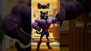 modcat