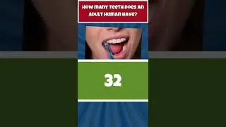 Can You Answer This in 10 Seconds? 🤔 | Brain Smarts Pop Quiz
