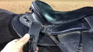 Best mule and Donkey saddle.