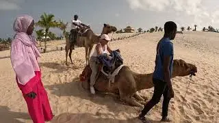Okaï, l'oasis dans le désert.