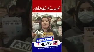 Srinagar | Kashmiris raise voice for street dogs | N18 Urdu
