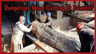 Toughest and Dangerous Wood Cutting । Skilled Teamwork for Cutting Wood at Sawmill | Amazing Skills