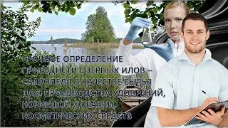 Срочный протокол лабораторного анализа и заключение о пригодности сапропеля