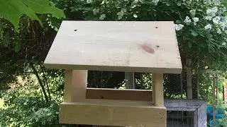 Orders from Headquarters #18: Bird Feeder with See through bottom!