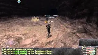 FFXI Meeble Burrow Adjunct - 1