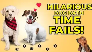Hilarious Dog Bath Time Fails! 🐶💦