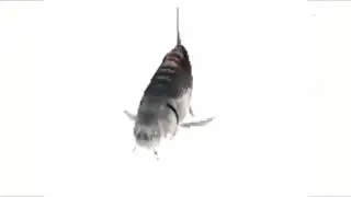 Fish Spinning with Geometry Dash practice mode song