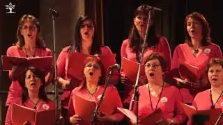 Plzeňské notování - 2015 - Orbis Pictus - Gloria