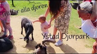 ÅKER TILL YSTAD DJURPARK ✰ Vlogg 42