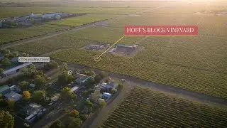 Redman Wines - Hoff's Block Vineyard