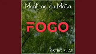 FOGO. 55515.