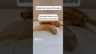 Explanation of strange videos pt.1