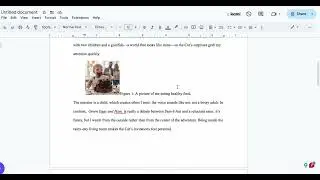 Rhetorical Analysis Mid Example