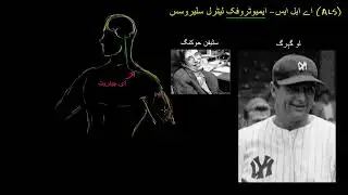 ALS   Amyotrophic lateral sclerosis  |  Heatlh and Medicine  | Khan Academy Urdu