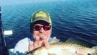 Fishing W/ Rad Reeling And Capt Todd