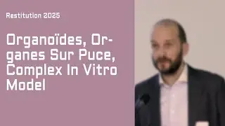 Organoïdes, Organes Sur Puce, Complex In Vitro Model — Restitutions Ateliers de Giens 2025
