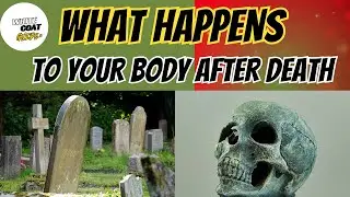 What Happens to Your Body After Death? | The Science of Life After Death Explained.