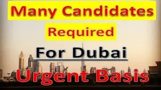 Jobs In Dubai Many Candidates Required For UAE 2019 | Hindi Urdu |