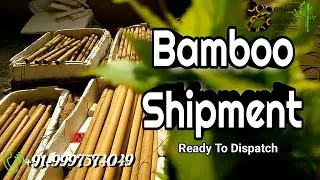 Raw Bamboo | Flute Manufacturer | Assam Bamboo