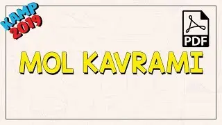 Mol Kavramı | Kamp2019