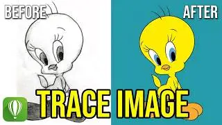Trace Image In CorelDraw | Trace Image | Use Shape Tool | CorelDraw