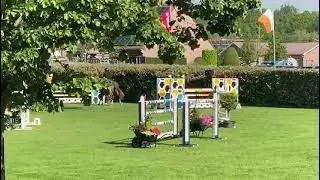 9 y old mare Vigo D’Arsouilles x Sandro boy 1.40m CSI Lummen 