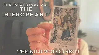 ✨THE TAROT STUDY OF.. THE HIEROPHANT ✨THE WILD WOOD TAROT ✨ #hierophant #tarot