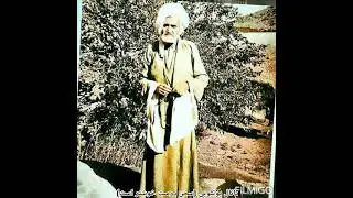 ماموستا ابوبکر بیلو. ماموستا باقر بالک. وفات ماموستا باقری بالک. نصیحت های ماموستا باقر