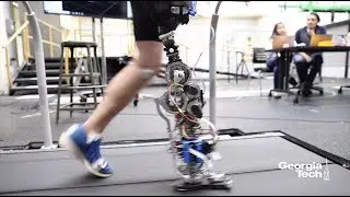 Wearable Robotics