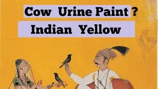 Cow  Urine  Paint | Indian Yellow | Earth Pigments