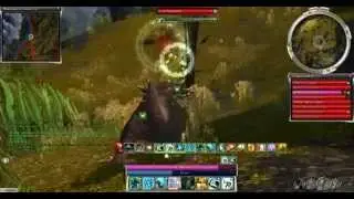 4 minutes Wallow Team + 2 Yetis MQSC [----]
