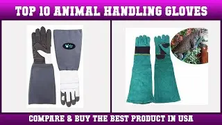 Top 10 Animal Handling Gloves to buy in USA | Price & Review