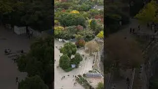 Fall Colors at Osaka Castle 🍁🏯