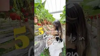 5 things to do in Cameron Highlands #visitmalaysia #malaysiatravel #asiatravel #naturelovers
