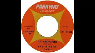 GLEEMS  YOU ARE THE ONE