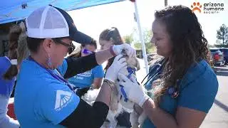Arizona Humane Society & Banfield Foundation Bring Medical Care to Pets