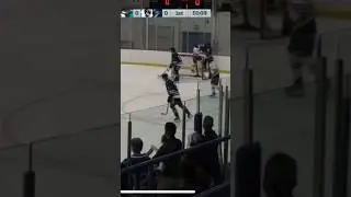 FIGHT BEHIND THE NET VIJHL
