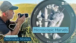 Can Photography Change How We See Conservation? | Nebraska Stories
