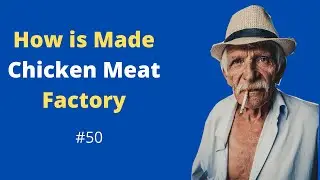 Inside a Chicken meat factory- How is made