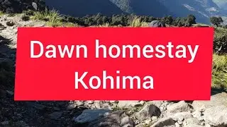 Dawn homestay kohima , Nagaland Dzukou valley