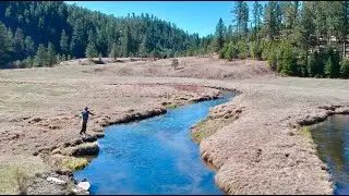 Fly Fishing the Black Hills, SD | 2025