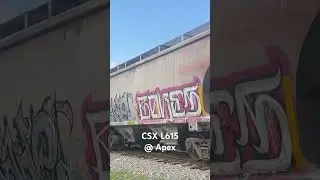 CSX local train L615 arrives at Apex 07/08/2025