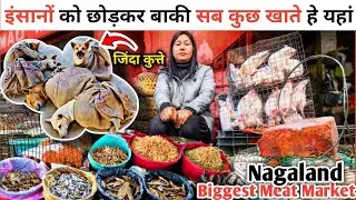इंसानों को छोड़कर यहां सब कुछ खाते | Super Market Dimapur |Meat Market Dimapur|Nagaland Super Market