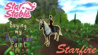 Star Stable | Buying my American Paint Horse - Starfire