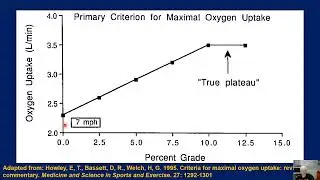 Physiological Construct of VO2max