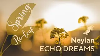 Echo Dreams by Neylan | Snapmuse | Royalty Free Music