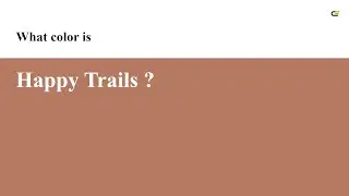 Happy Trails color #b67a63 hex color - Red color - Cool color b67a63