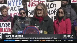 NYPD Facing Criticism Over Sex Crimes Division