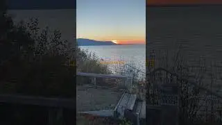 Johnny Cosmic, Shwayze, Surfer Girl-High Times, Lummi Vibez Fall 2023 #sunset #fall #beach #reagge